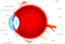 odac eye test meaning