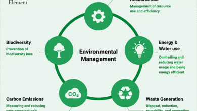 what is an environmental management system